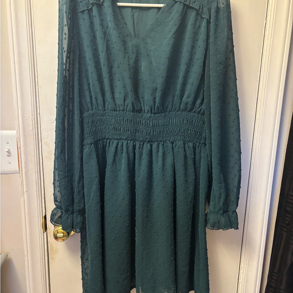 Elegant Long Sleeve Dress